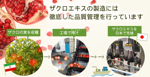 ザクロエキス製造の流れ