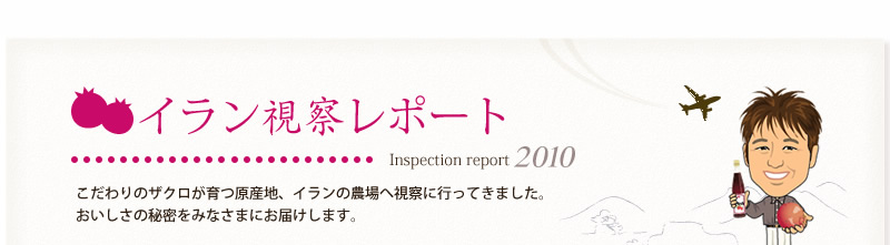 �C�������@���|�[�g