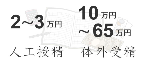 人工授精で2～3万円、体外受精で10万～100万費用がかかります