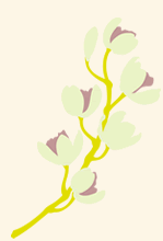 花