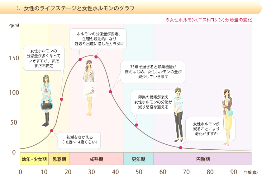 女性のライフステージと女性ホルモンのグラフ
