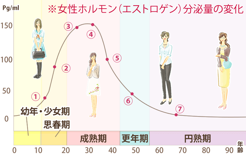 女性のライフステージと女性ホルモンのグラフ