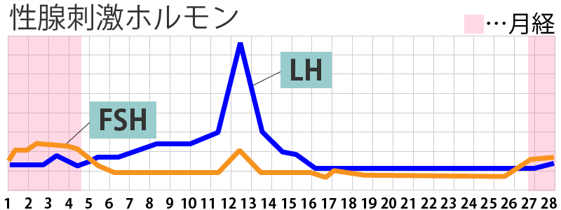 性腺刺激ホルモンのグラフ