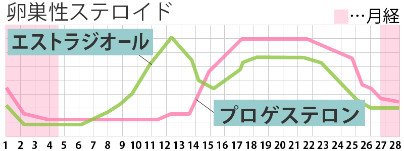 卵巣性ステロイドのグラフ