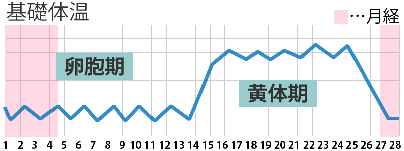 基礎体温のグラフ