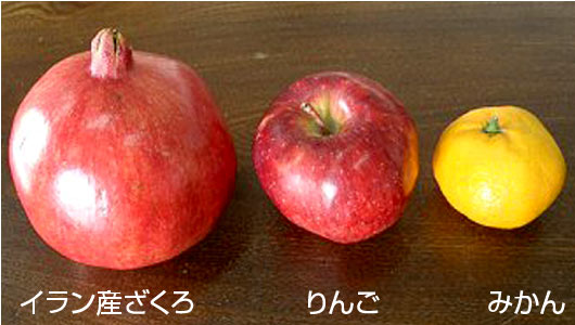 イラン産ざくろとりんご、みかんの大きさの比較