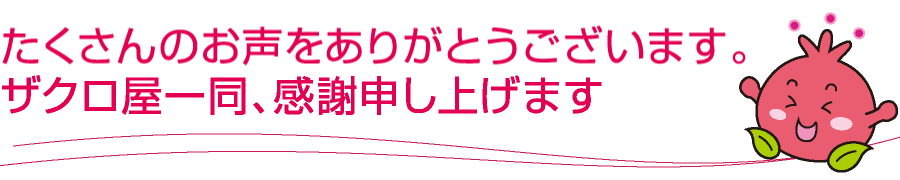 たくさんのお声をありがとうございます。ザクロ屋一同、感謝申しあげます