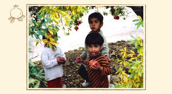 かわいいイランの子どもたちがザクロを食べる日常