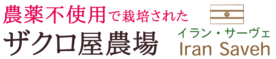 農薬不使用で栽培されたザクロ屋農場イラン・サーヴェ