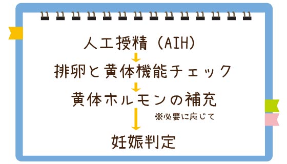 人工授精後のスケジュールのご案内