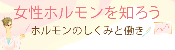 女性ホルモンを知ろう ホルモンのしくみと働き