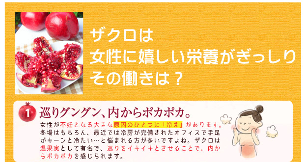 ザクロの働き、巡りぐんぐん、内からポカポカ。
