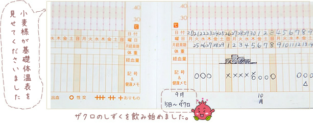 基礎体温表