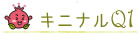 キニナルQ1