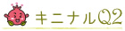 キニナルQ2